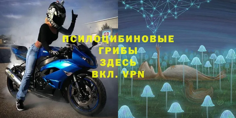 Галлюциногенные грибы MAGIC MUSHROOMS  Владикавказ 